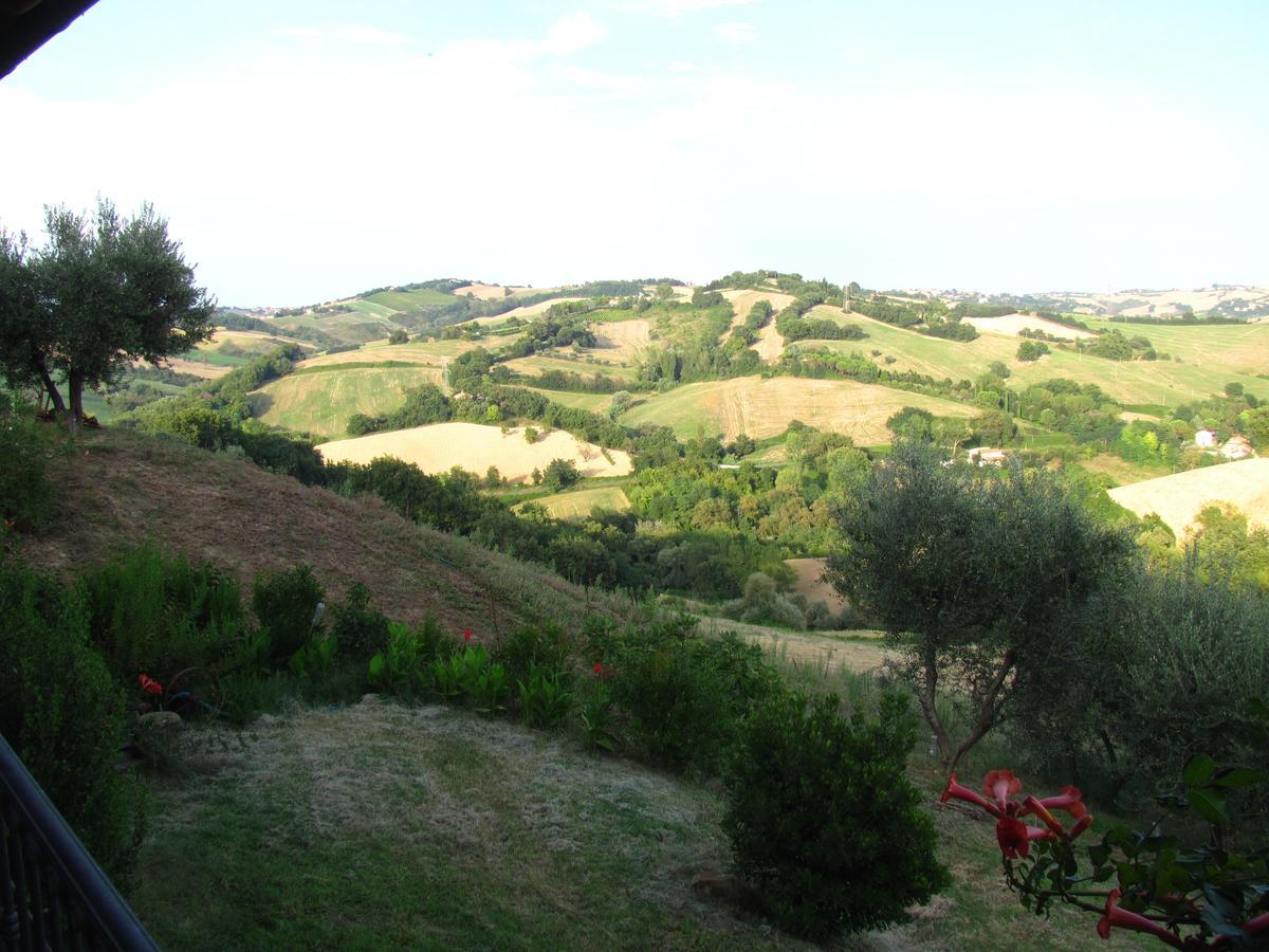 Agriturismo Bacchiocchi Bed and Breakfast Orciano di Pesaro Eksteriør billede